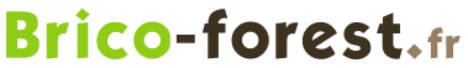 Logo de Brico-Forest